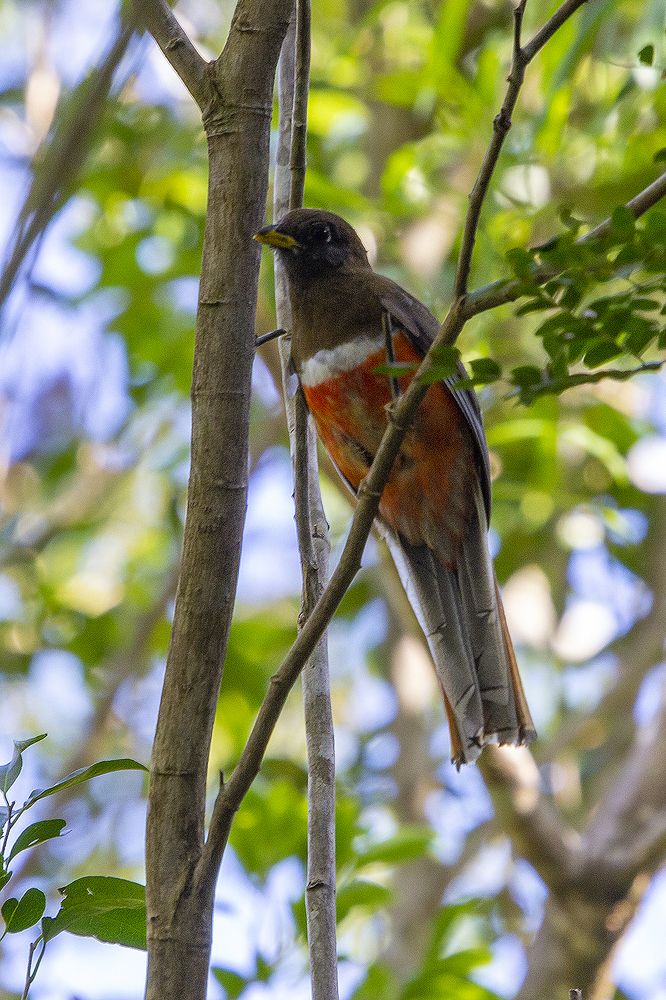 Photograph by Eric Blanc