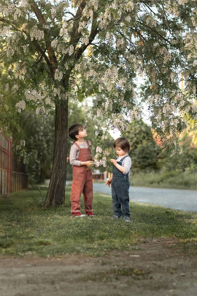 Photograph by Эльвира Бркич