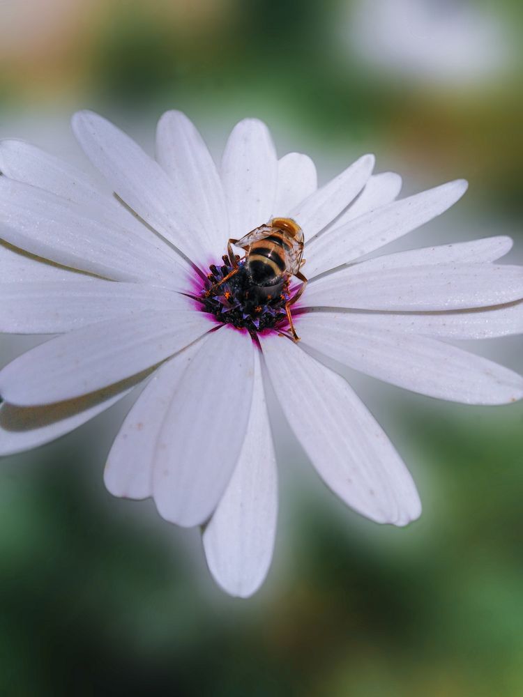 Фотография автора Mennataullah dakhly