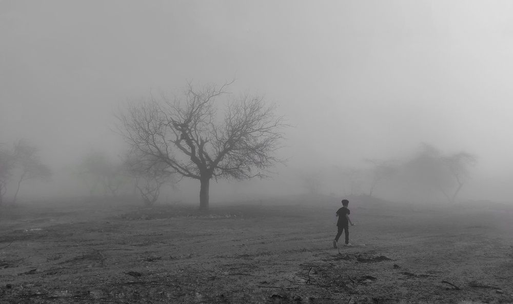 Photograph by Fatemeh Rezaei