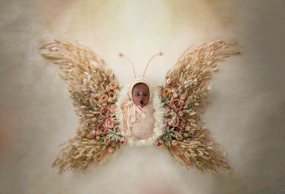 Photograph by Karen D’Lucca