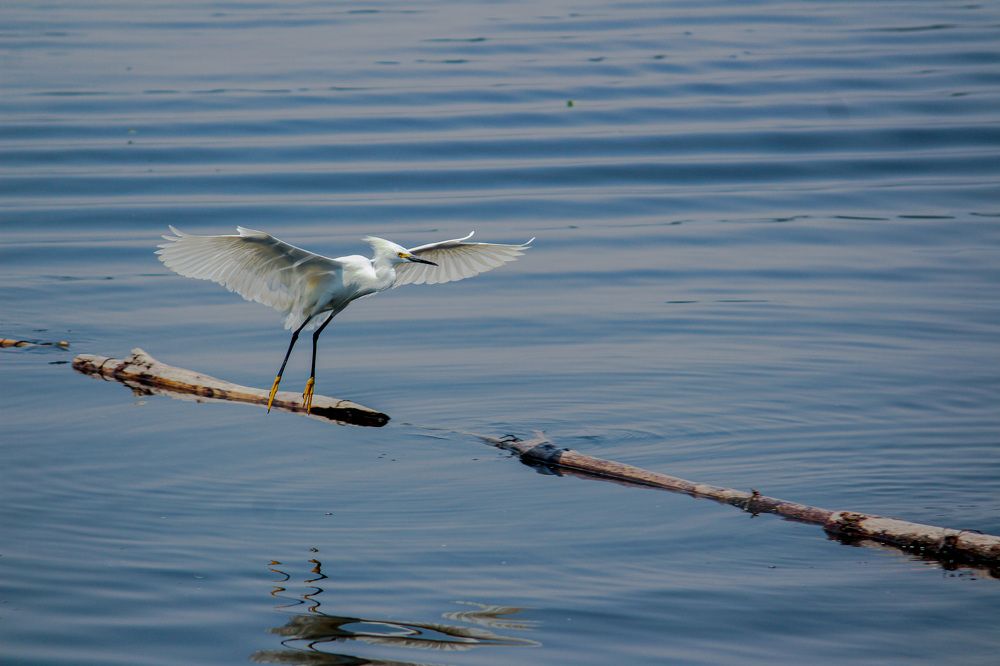 Фотография автора Raúl Emiliano Bazet Najera