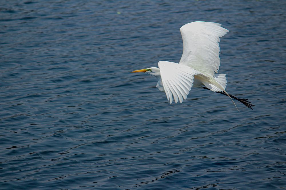 Фотография автора Raúl Emiliano Bazet Najera