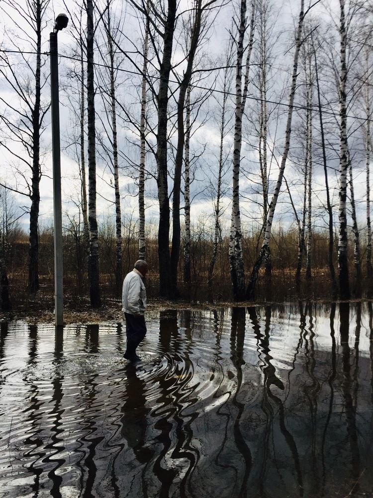 Photograph by Дарья