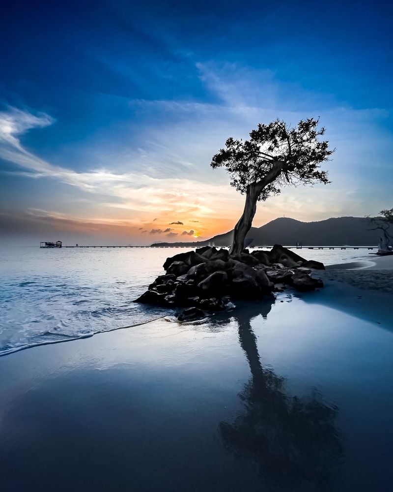 Photograph by Anthonn Carter