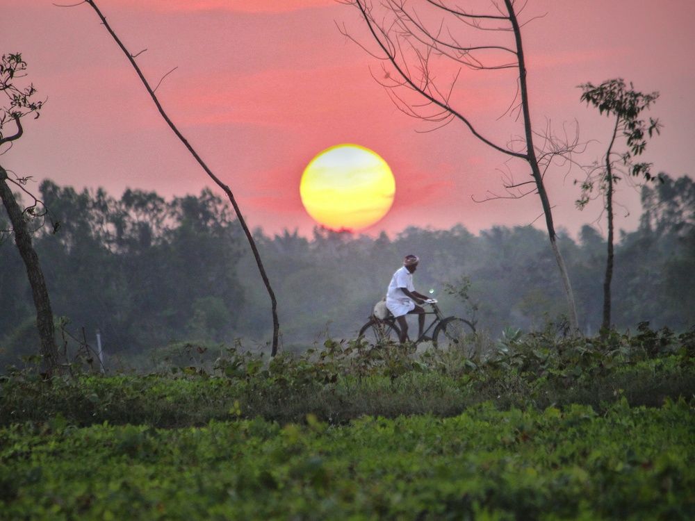 Photograph by RAJAVIGNESH T