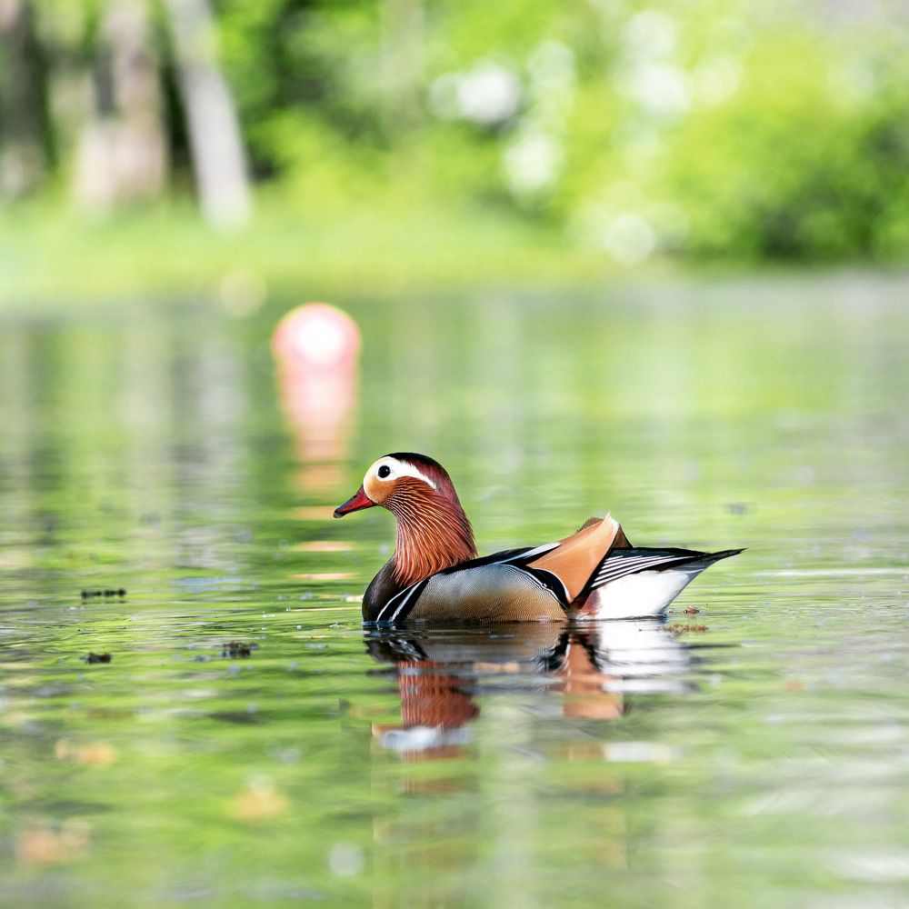 Photograph by Алексей Симонов