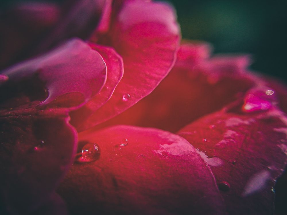 Photograph by Arnab Mallick