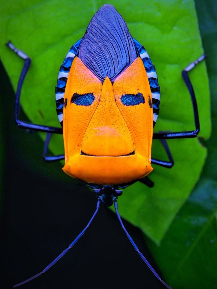 Photograph by Yudi kristianto Yudi