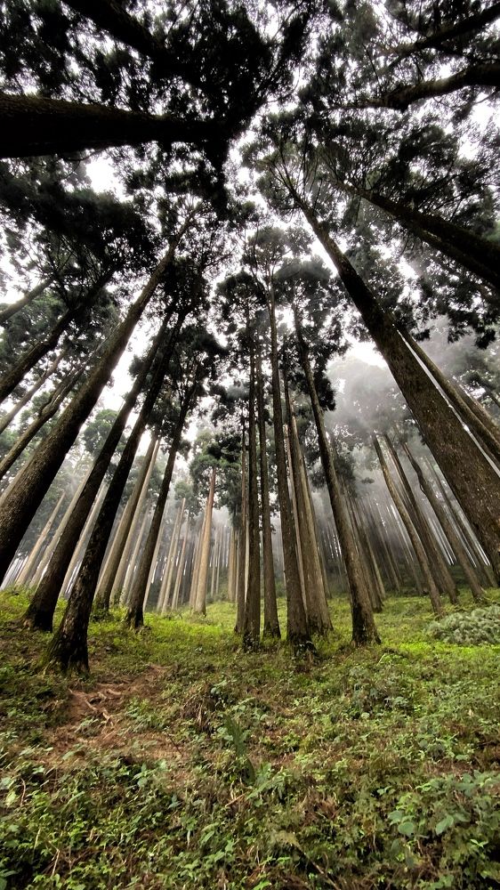 Photograph by Indranil Banerjee
