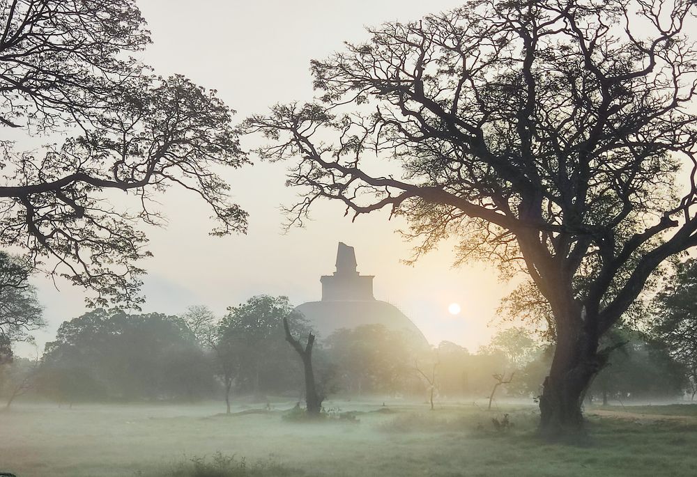 Jethawanaramaya Stupa of historical value - Anuradhapura, LK