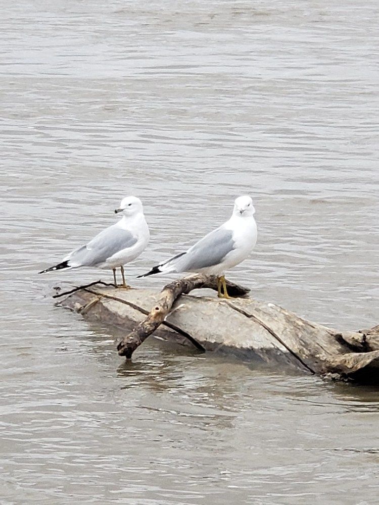 Фотография автора Al