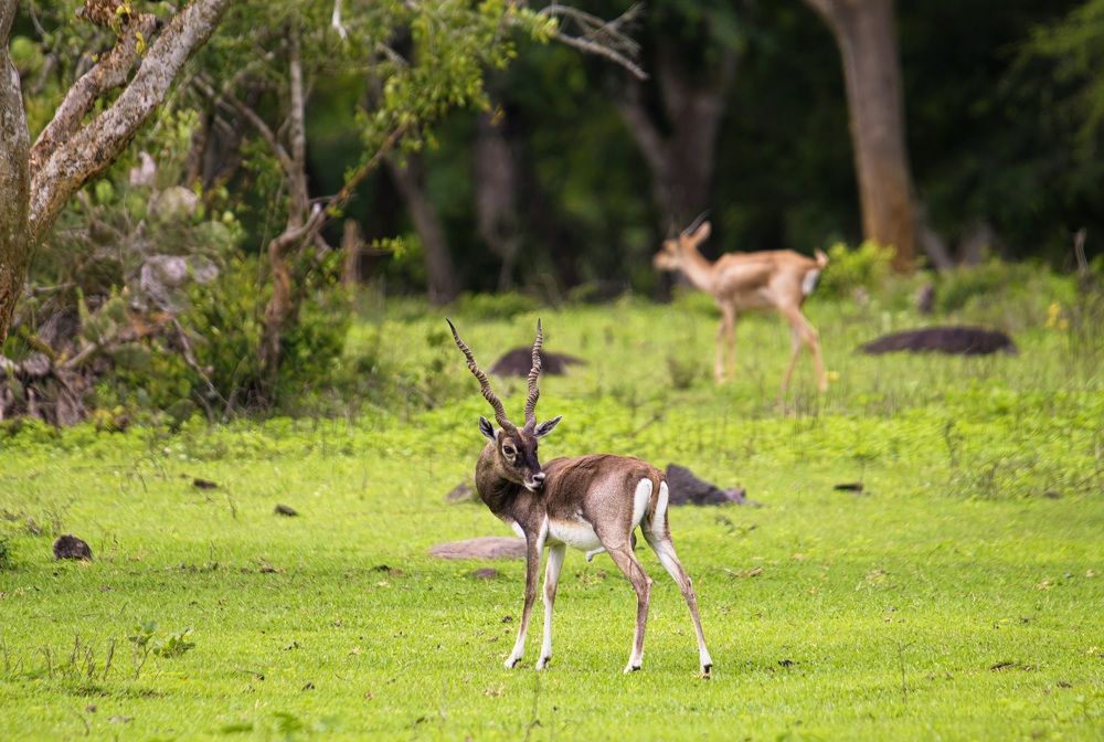 Photograph by praveesh pv