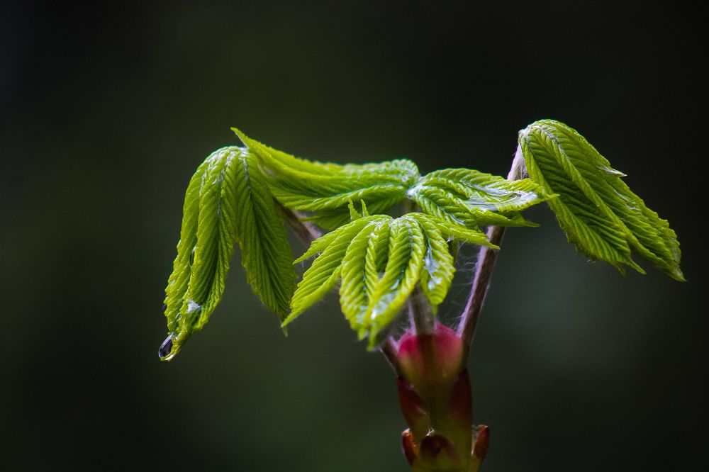 Photograph by Александр