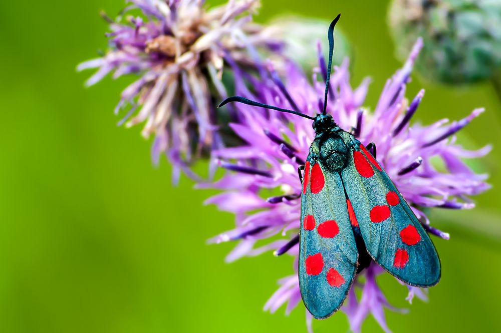 Photograph by Виталий Слёзка