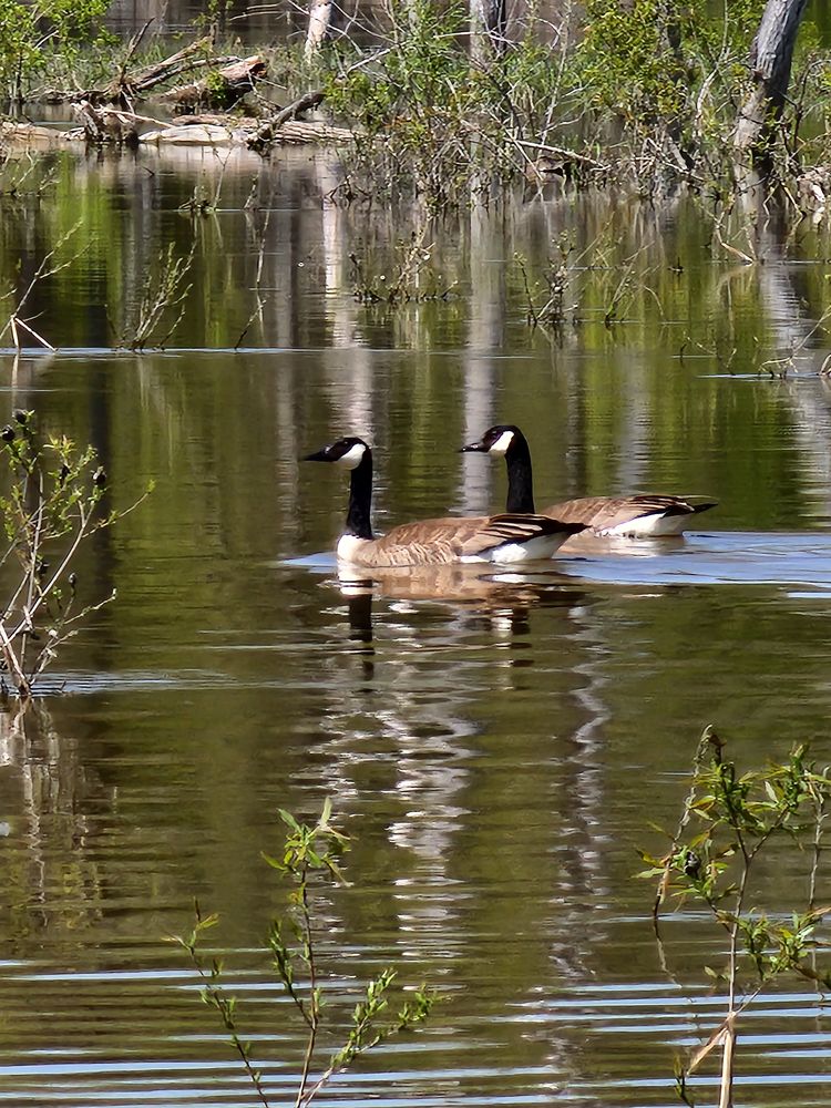 Фотография автора Al