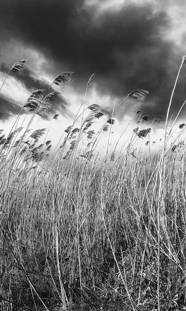 Photograph by Наталья Исиченко