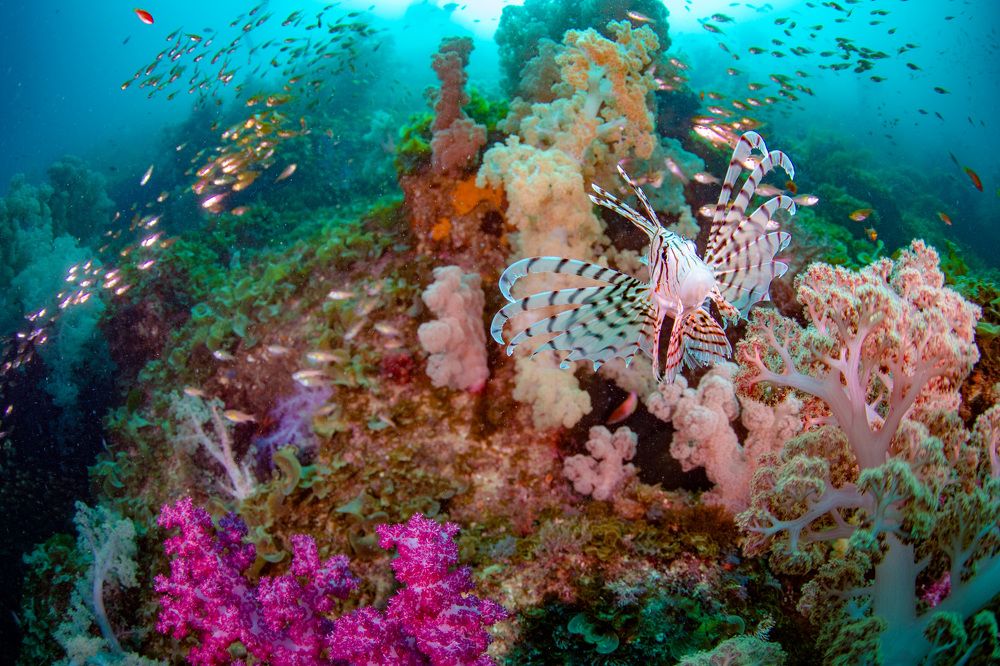 Photograph by HITOMI TSUCHIYA