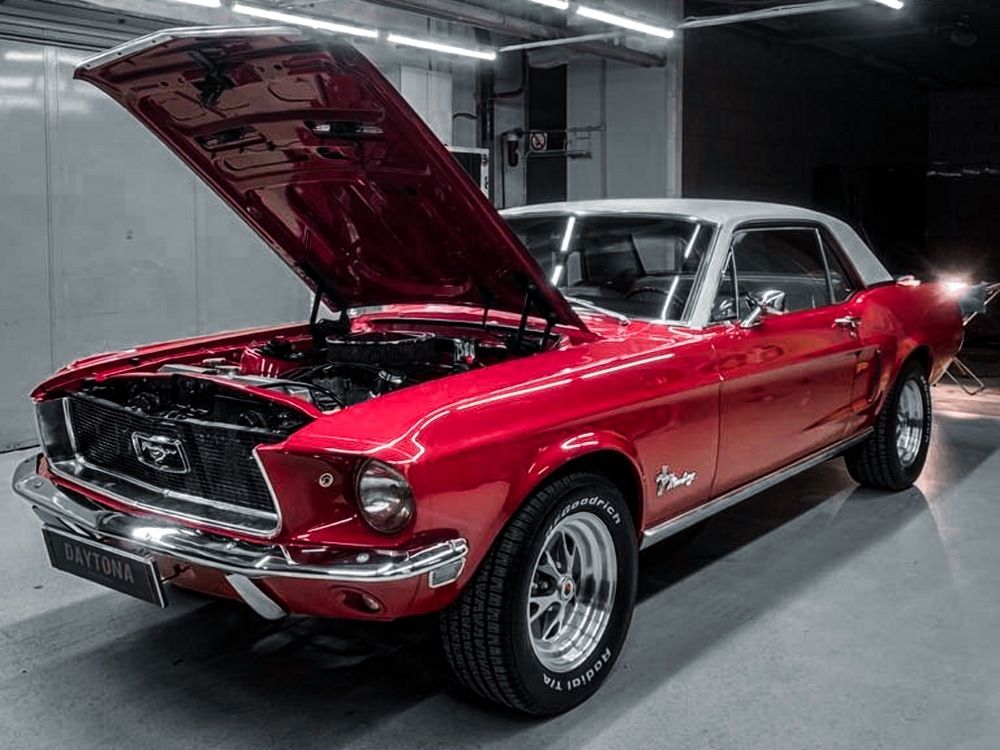 Photograph by Александр Шандов