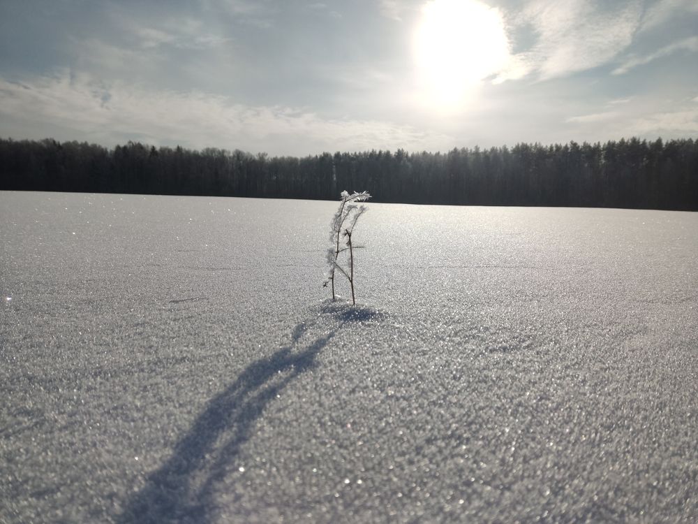 Photo #7701261