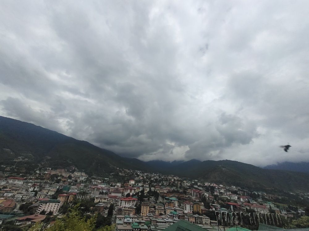 Photo #7701287