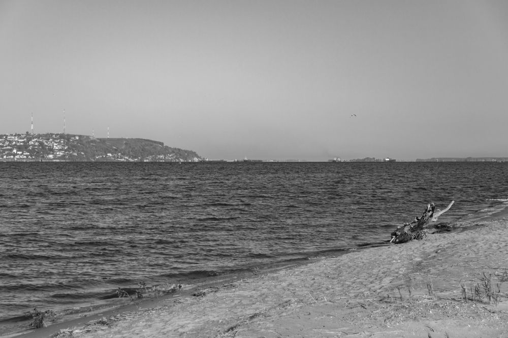 Photograph by Алексей