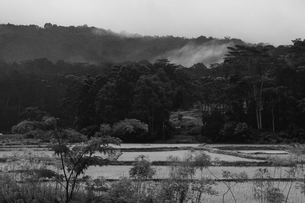 Photograph by Froghi Ali