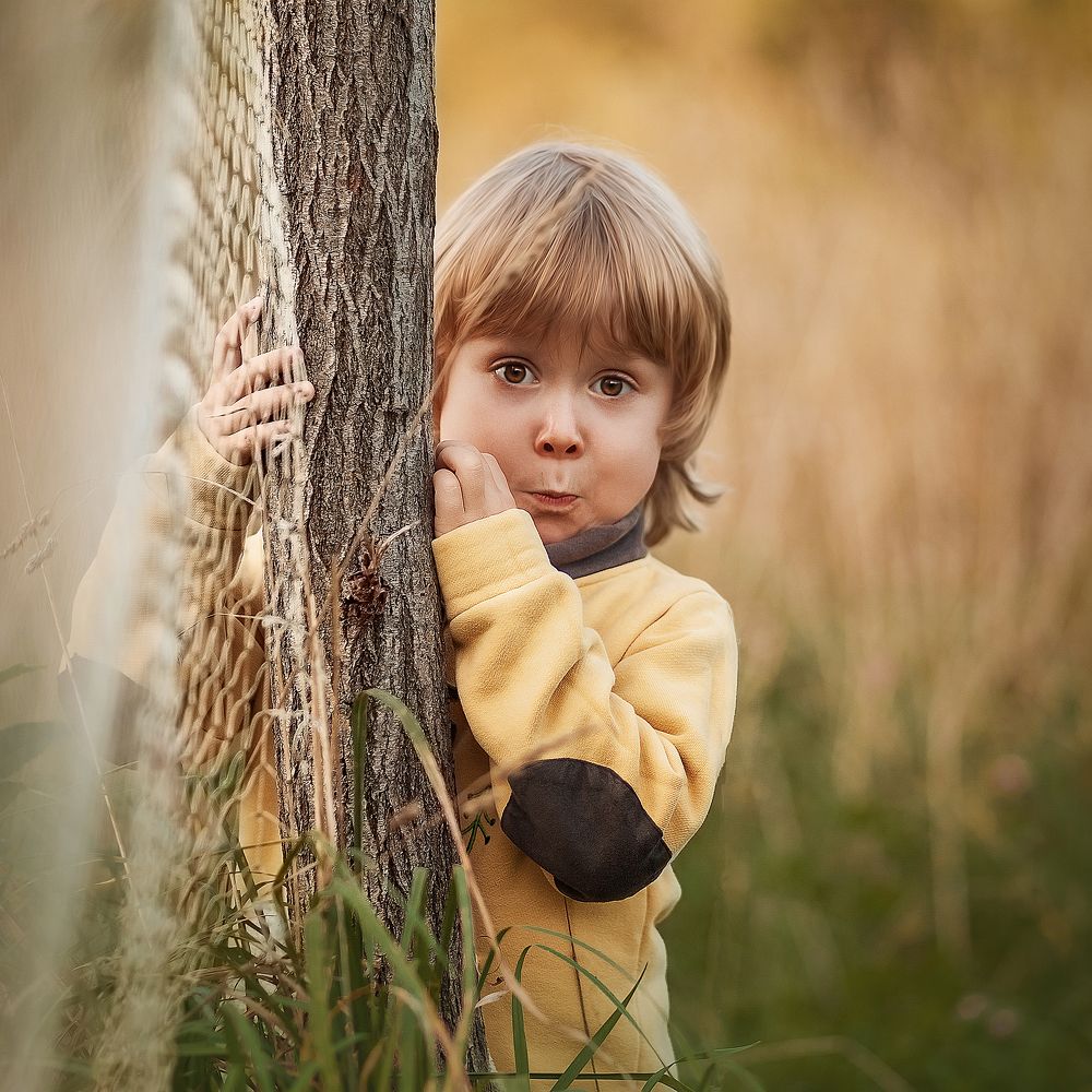Фотография автора Ольга Седых