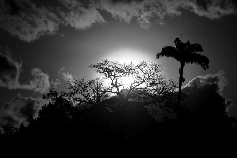 Photograph by André Lobo