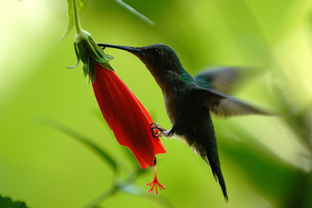 Photograph by André Lobo