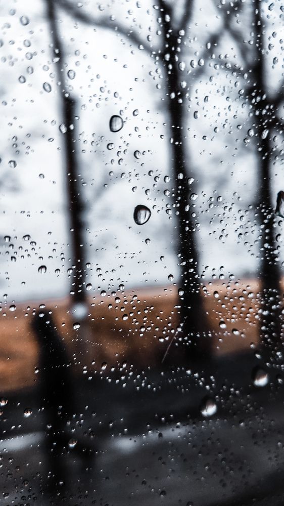 Фотография автора Кристина Шефер