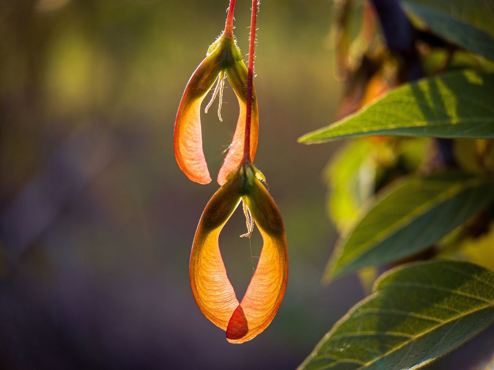 Photograph by Павло Юрасюк