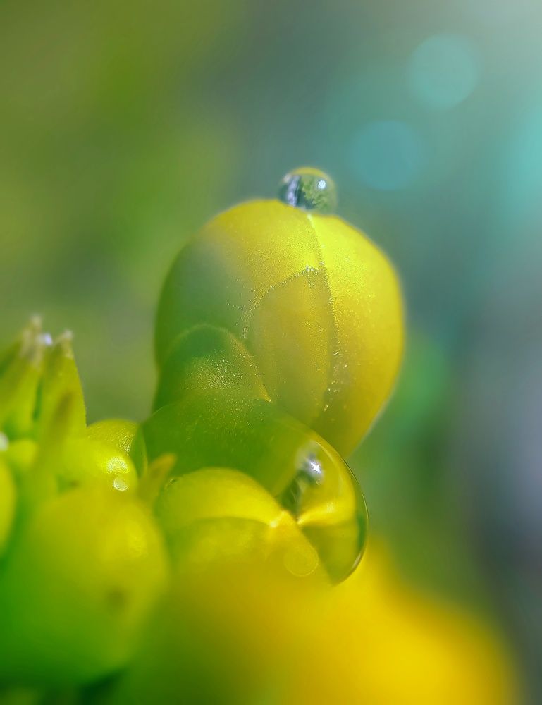 Photograph by Charan s. Yadav