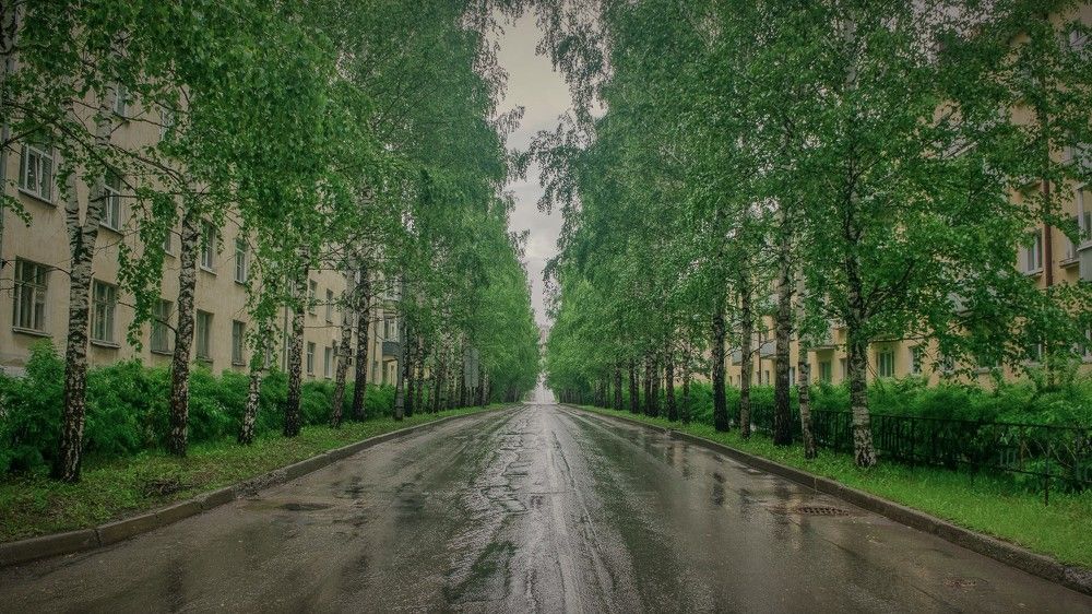 Photograph by Стас Неклюдов