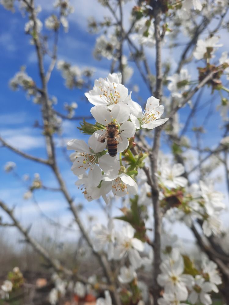 Photograph by Анастасия Чирская