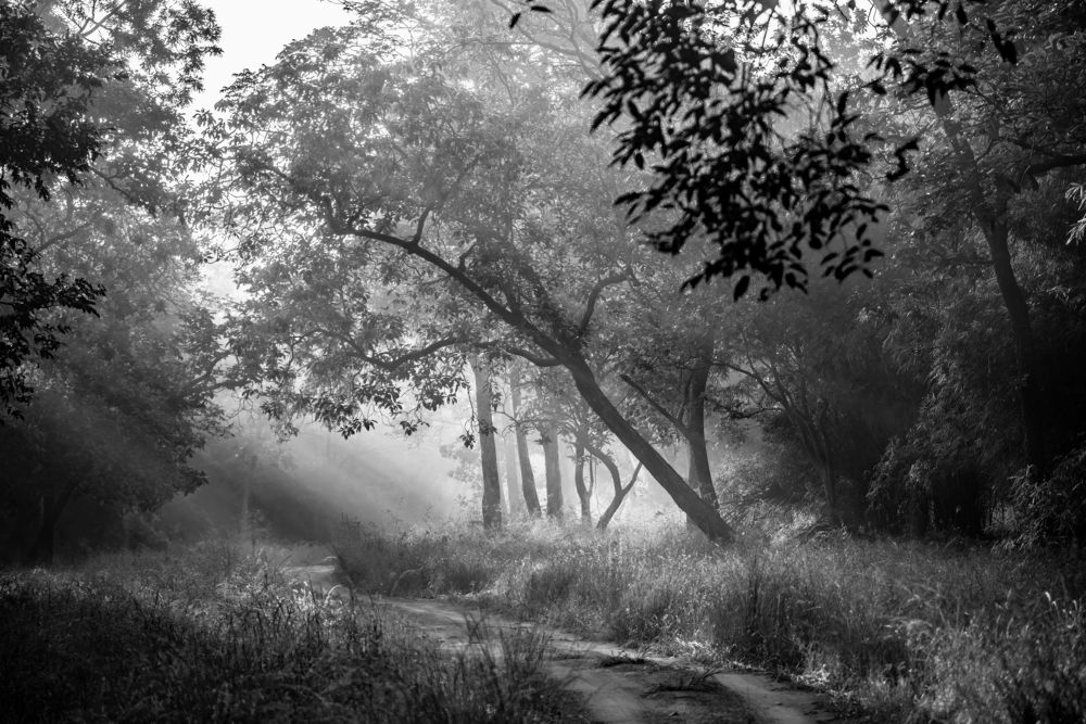 Photograph by Nishith Pursnani