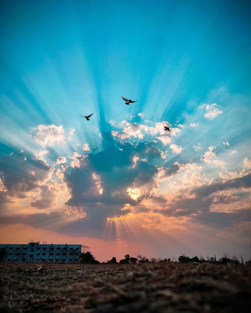 Photograph by Datta Lokhande