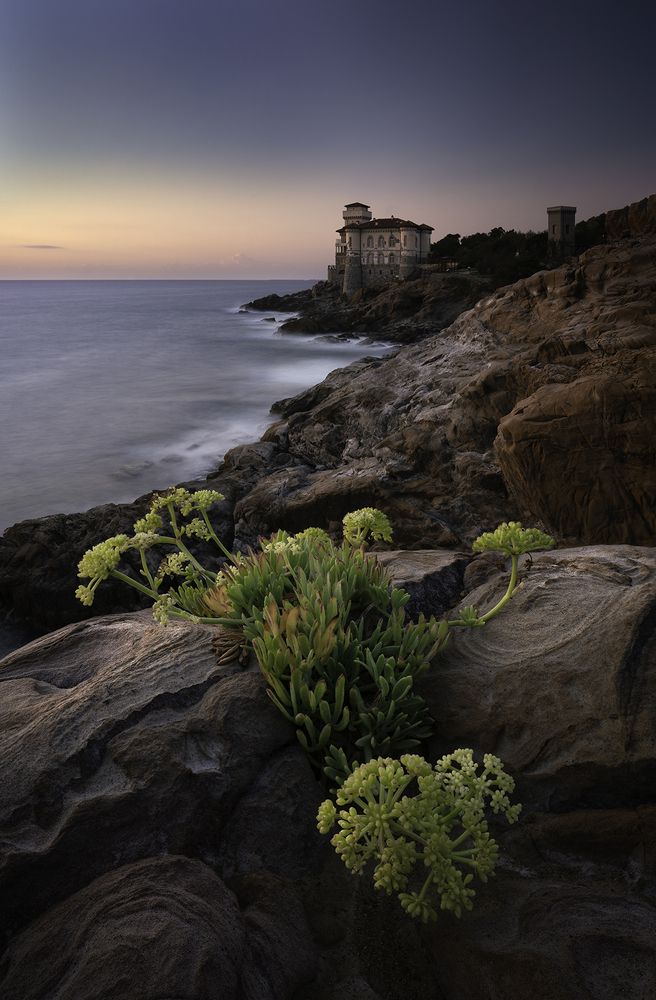 Photograph by Stefano Gelli