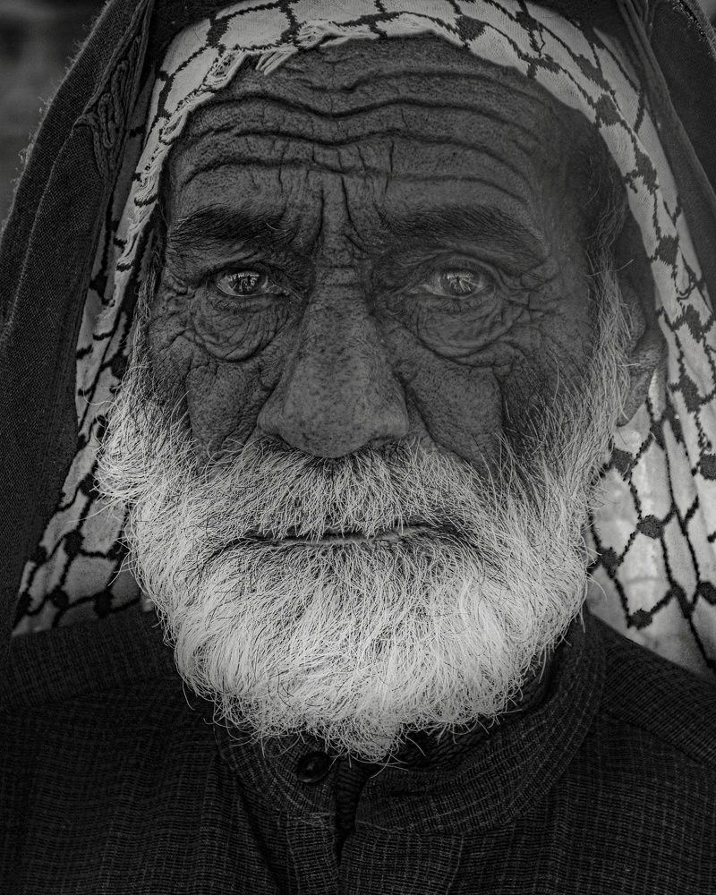 Photograph by حسن علي عبد الرضا