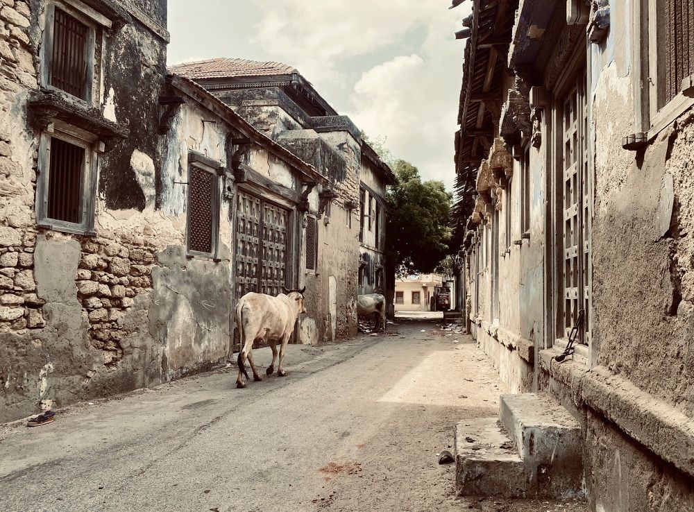 Photograph by Pravin Suthar