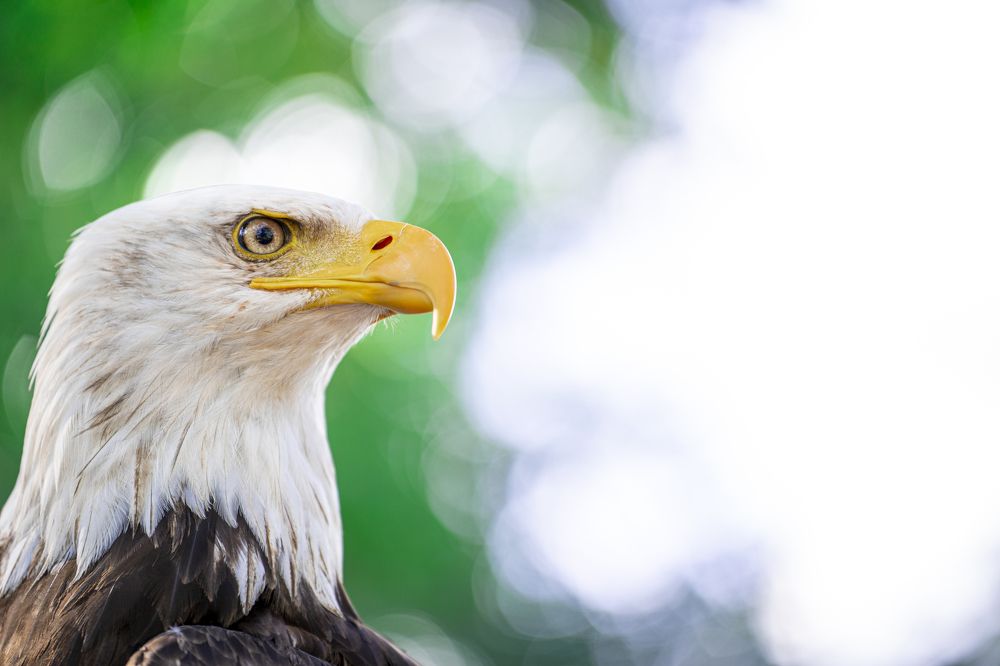 Фотография автора Stéphane MOSER