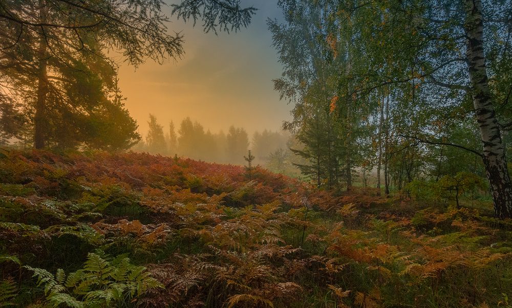 Photograph by Елена Потемина