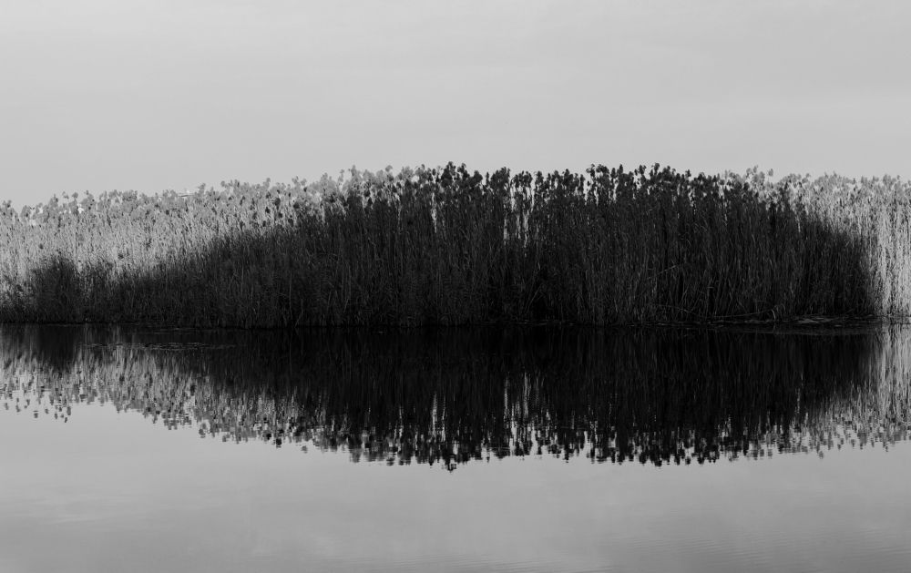 Photograph by Mostafa Mortazavi