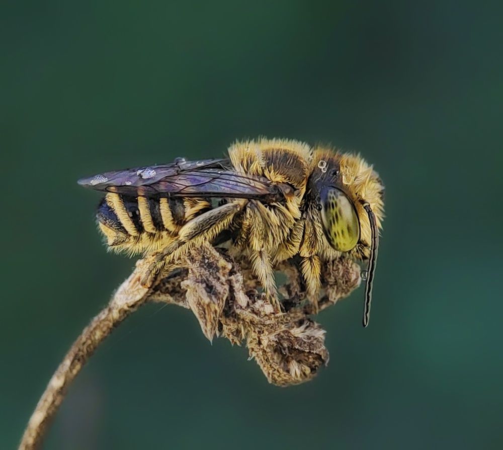 Photograph by virgilio Arquelola jr