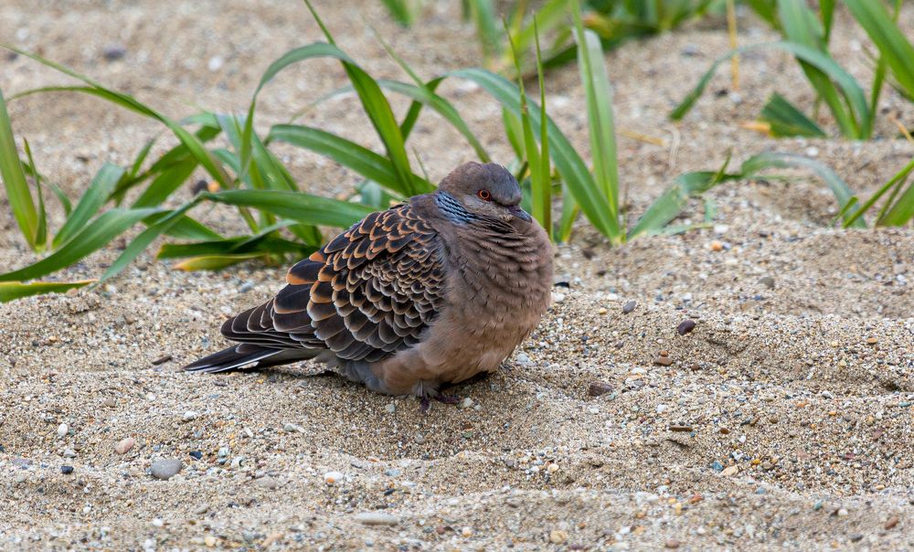 Фотография автора Владимир