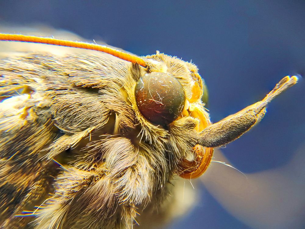 Photograph by Dinuka Sachintha