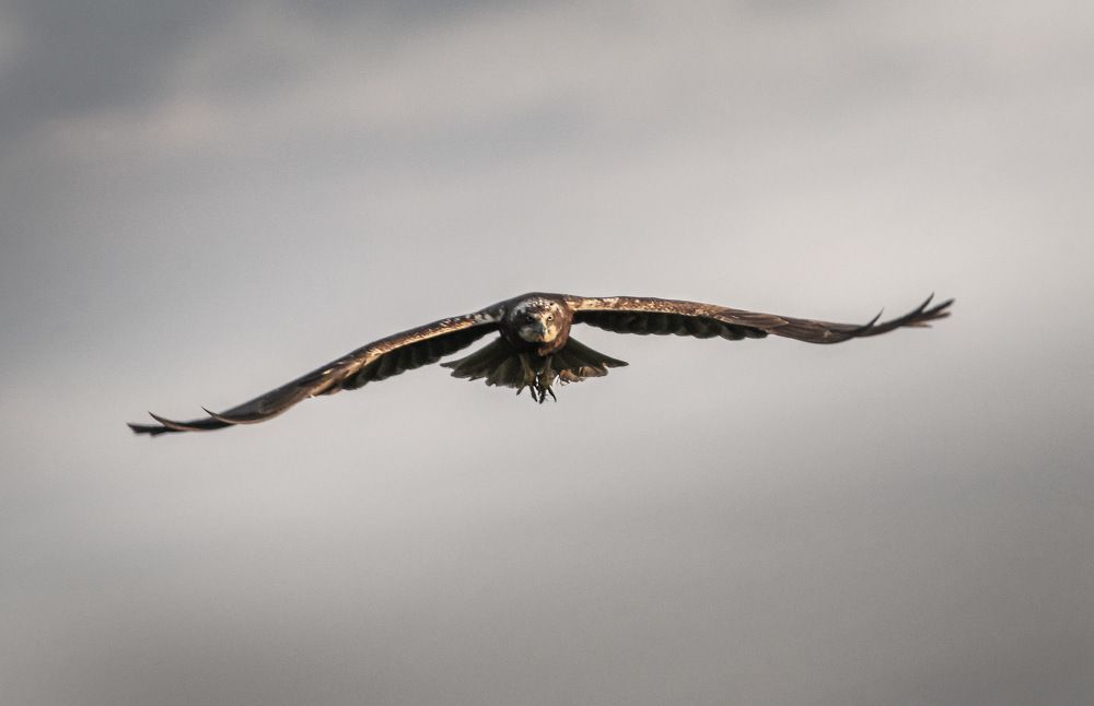 Photograph by Борис Пирог