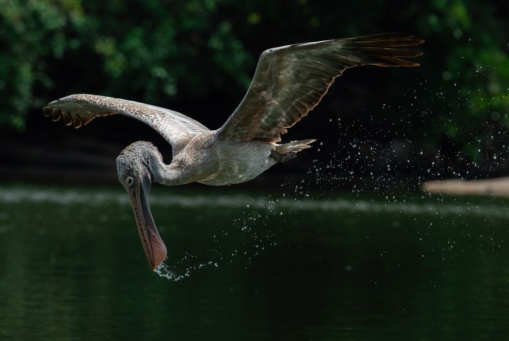 Фотография автора M Anandhu