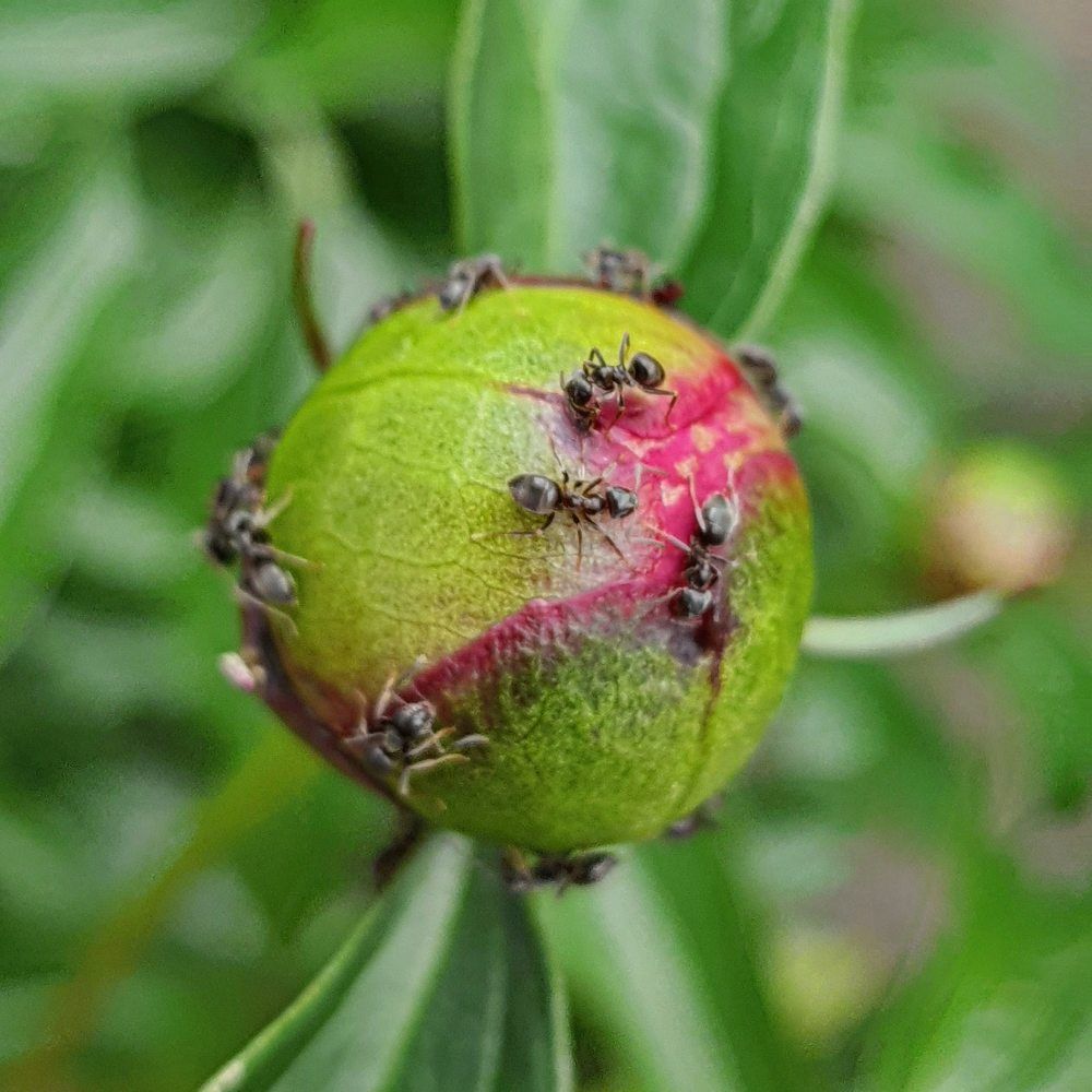 Photograph by Ольга Лукина