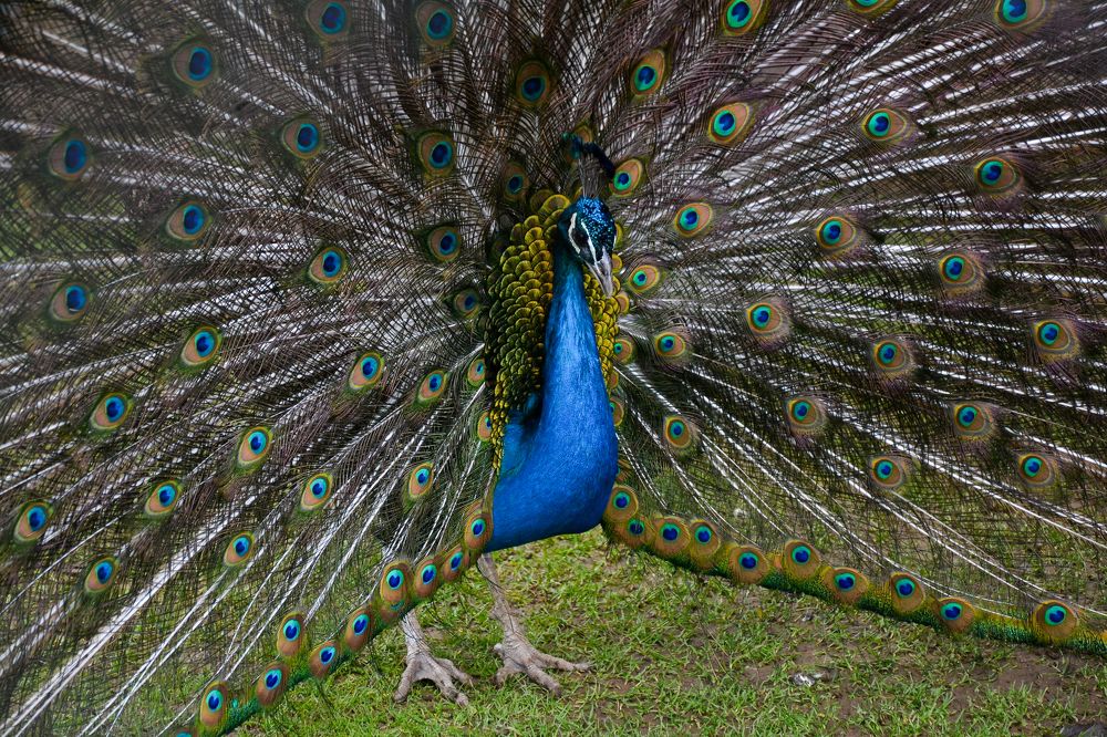 Photograph by Наталья Ивочкина